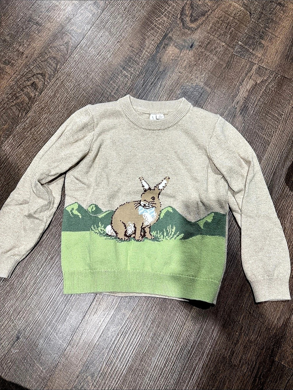 Janie and Jack boys Easter bunny sweater size 4t